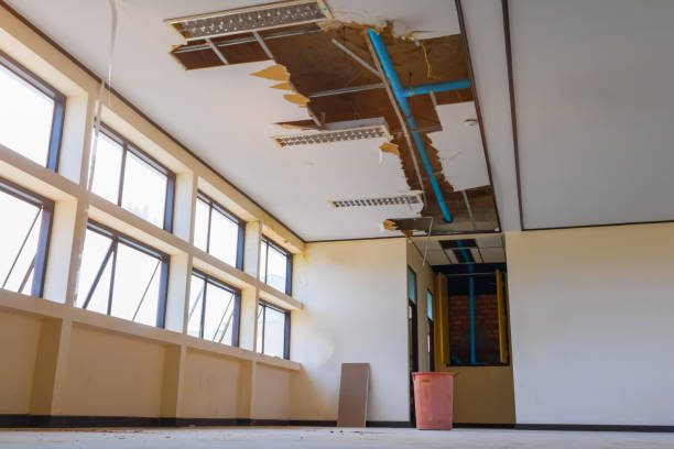 Best Basement water damage restoration  in Wetumpka, AL