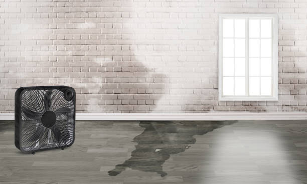 Best 24-hour water damage restoration  in Wetumpka, AL