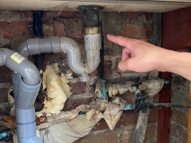 Best Local water damage restoration  in Wetumpka, AL